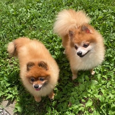 QDCZFeoDoDpB3g3's profile picture. 私、生まれも育ちも北海道富良野です