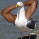 Michael Angelucci - @Sublime_Art - Twitter