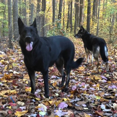 rainbowreeboks's profile picture. 