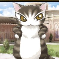 🐱ジン💛 (@qvqermwzbe4vzd9) 's Twitter Profile