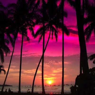 sssbely's profile picture. 