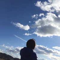 青色📘(@gyne112) 's Twitter Profile Photo