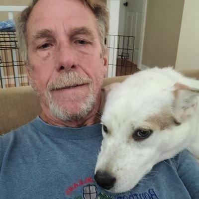 just a crabby old man living in the woods, Da Bears, Foster dog parent #adoptnotshop #BLM #bluewave2024 https://t.co/gBdDDtE3vW