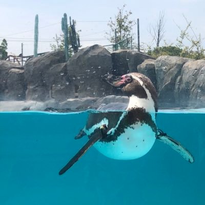 にかもとさんのプロフィール画像