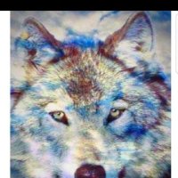 Muhammet (@maglumat11) Twitter profile photo
