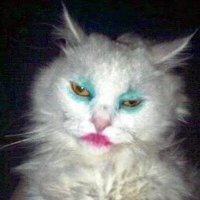 жуй на мне (@fagocitiruyu) 's Twitter Profile