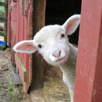 tntkik's profile picture. Do good whenever I can.