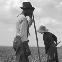 Black Farmland Owners Matter(@blackfarmland) 's Twitter Profile Photo