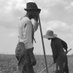 Black Farmland Owners Matter (@blackfarmland) Twitter profile photo