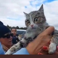 ziraat mühendisi (@atamaziraat46) Twitter profile photo