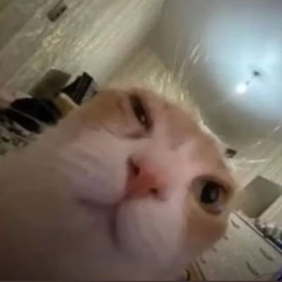 wookled's profile picture. 