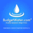 BudgetWaterUSA's profile image