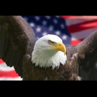 Fred Falcone (@falconfredrick) 's Twitter Profile