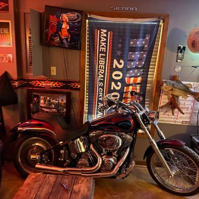 gang9239's profile picture. 🦟