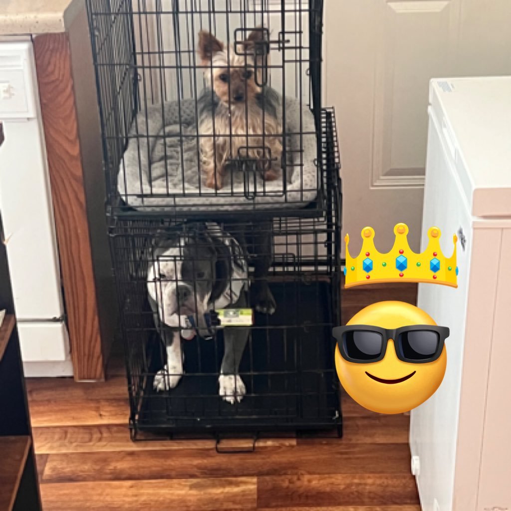 FuquaLabrandon's profile picture.