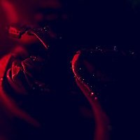 Essence (@essence_xf) 's Twitter Profile