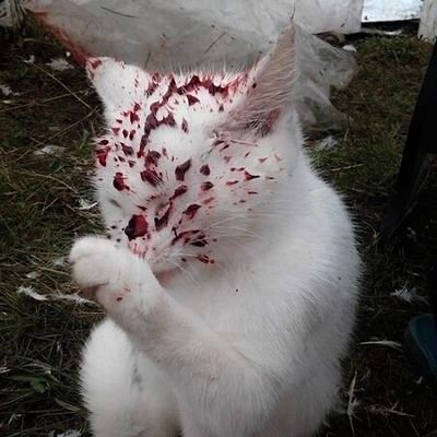 luvrlori's profile picture. 