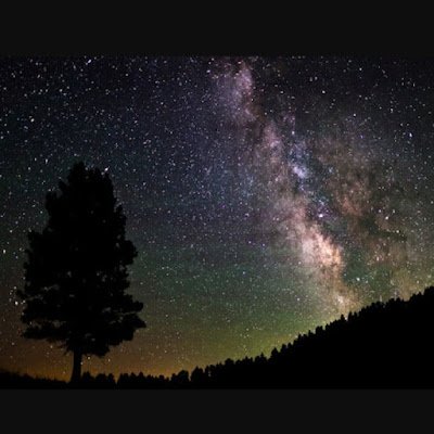 noctu23's profile picture. 