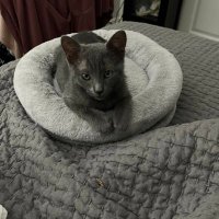 Binx1221 (@madelinem1221) 's Twitter Profile Photo Binx1221 (@madelinem1221) 's Twitter Profile Photo