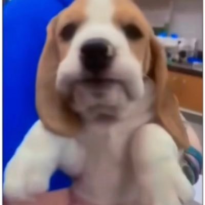 elsya_chim's profile picture. 