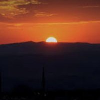 Alp Alp (@wordman222) Twitter profile photo