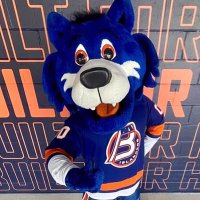 Storm The Tiger (@stormbridgeport) 's Twitter Profile