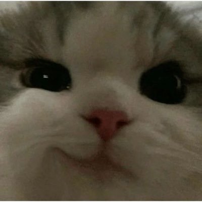 oikawa1uv's profile picture. 20⬆️