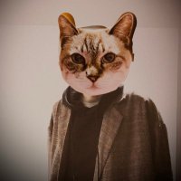 町田康 (@machidakoujoho) 's Twitter Profile Photo 町田康 (@machidakoujoho) 's Twitter Profile Photo