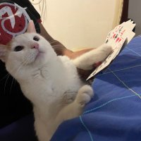 Alex Estrada (@esesudo) 's Twitter Profile