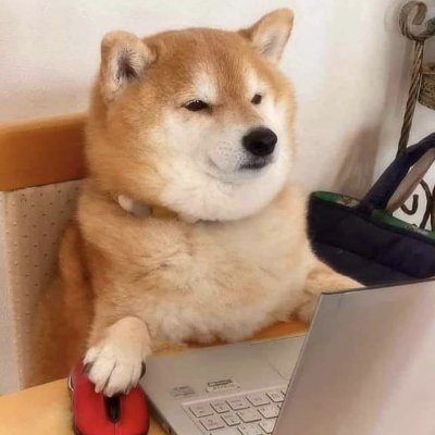 cs_stdent_en_fr's profile picture. Tech joke
Programming tips