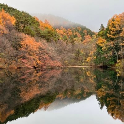 Shitamachi95's profile picture. 都営バス・京成バス・Railsim中心。 仙台と広島が好き。