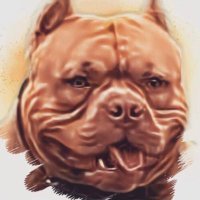 Whiskey Tiger king bully (@cryptodog101) 's Twitter Profile