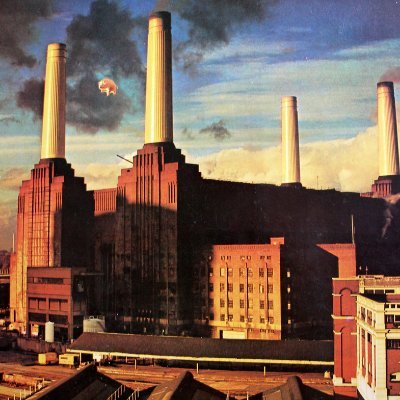 white94rabbit's profile picture. No one is more hated, than he who speaks the truth - Plato