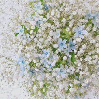 霞草 (@afiavw) 's Twitter Profile Photo 霞草 (@afiavw) 's Twitter Profile Photo