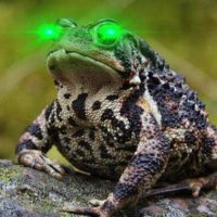 Toad(@Oroborous2) 's Twitter Profile Photo