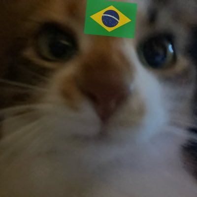 MarimaLolさんのプロフィール画像