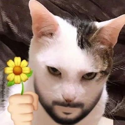 cooさんのプロフィール画像
