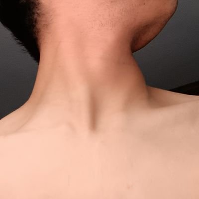 LuisGue48407293's profile picture. 