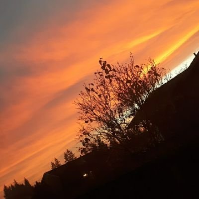 s7ardu3t's profile picture.