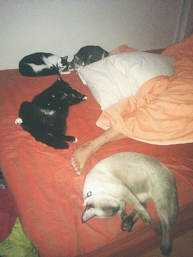 zhenjian's profile picture. 