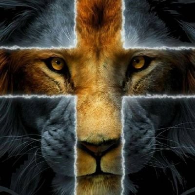 nygel_jr's profile picture. FC Barcelona | FC Mobile