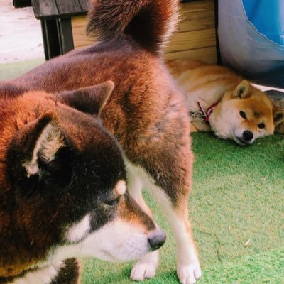 大腸がん・肝転移ステージ4/肝癌6割切除,胆嚢切除,上行結腸癌切除/脳・肺・肝臓・骨に再発転移/緩和ケアだけど抗う!/CVポート措置/3児の母30代/フォローは闘病中, 闘病中のご家族の方のみとさせていただきます🙇🏻♀/いいね♡は感謝共感応援です☺