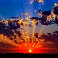 Debaruni (@debaruni11) 's Twitter Profile