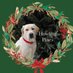 Howling Pines Farm (@howlingpinescf) Twitter profile photo Howling Pines Farm (@howlingpinescf) Twitter profile photo