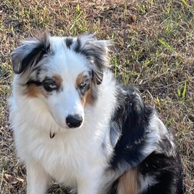 JimBrown336699's profile picture. 