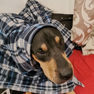 subn22's profile picture. Fan of Melville United, a pint or two, and a tad of gaming.