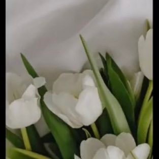 jassmin_est05's profile picture. Hi