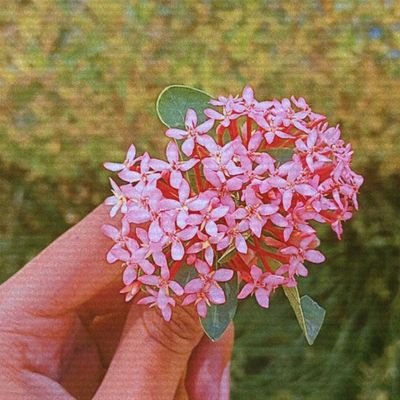 NishaMe60805071's profile picture. 