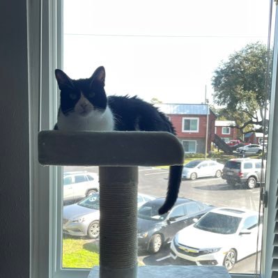 rookie_nelson's profile picture. NASM CPT/CNC