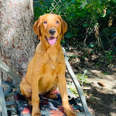 biofilm_md's profile picture. 